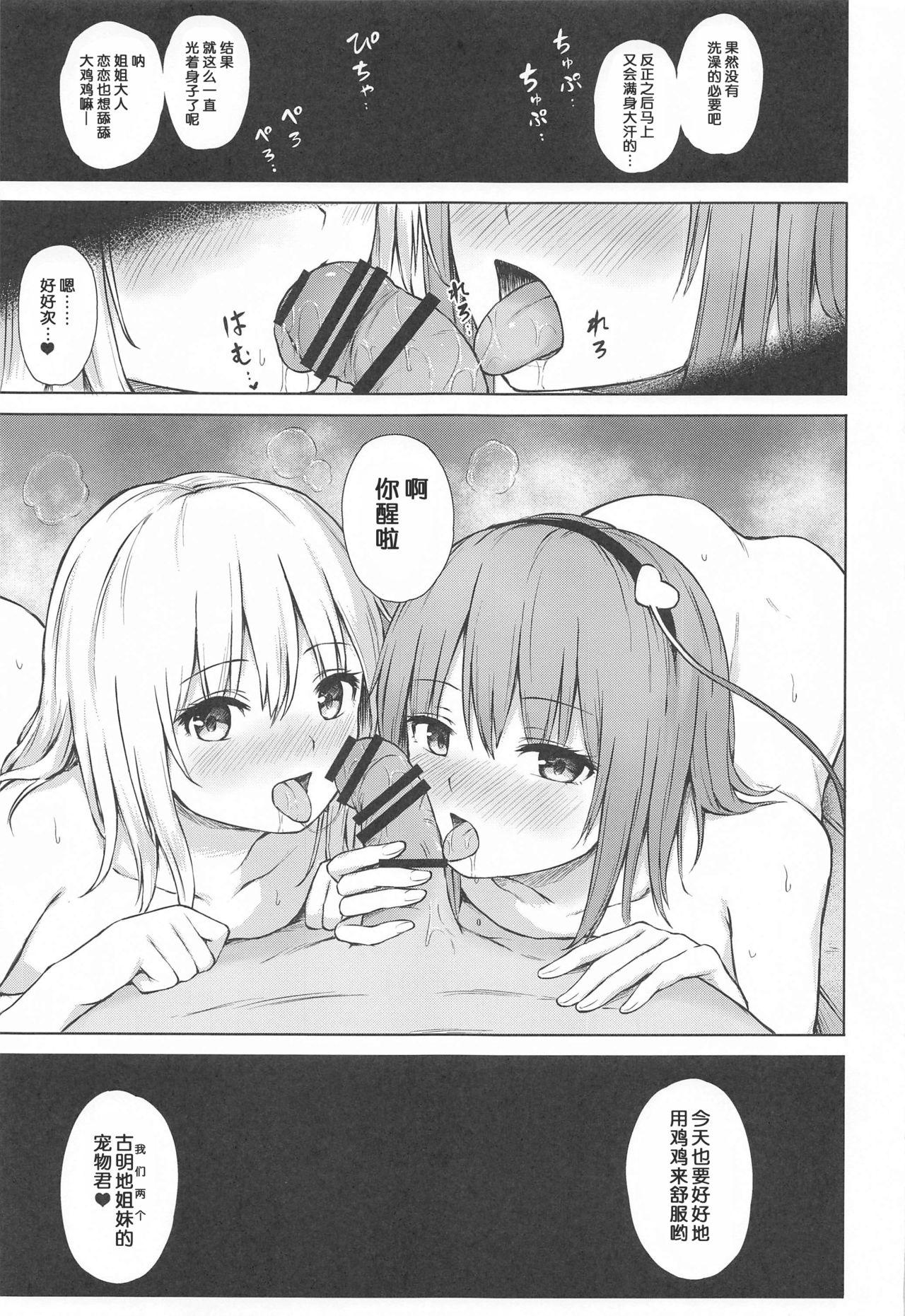 古明地姉妹のいけないペット(名華祭15) [てこめんち (てち)]  (東方Project) [中国翻訳](28页)