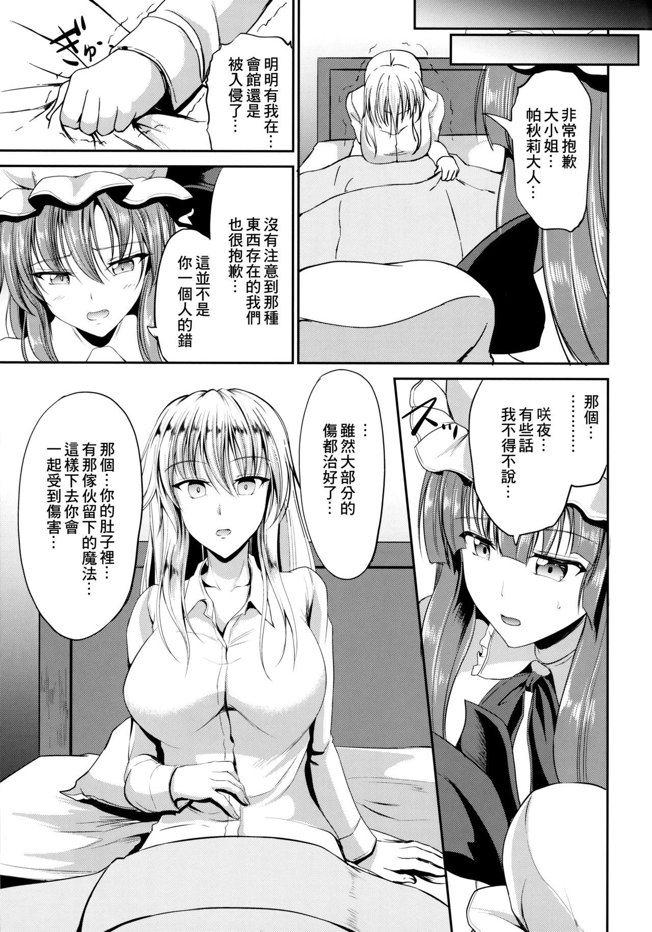 侵入者(C90) [らふれしあ (キャンベル議長)]  (東方Project) [中国翻訳](24页)