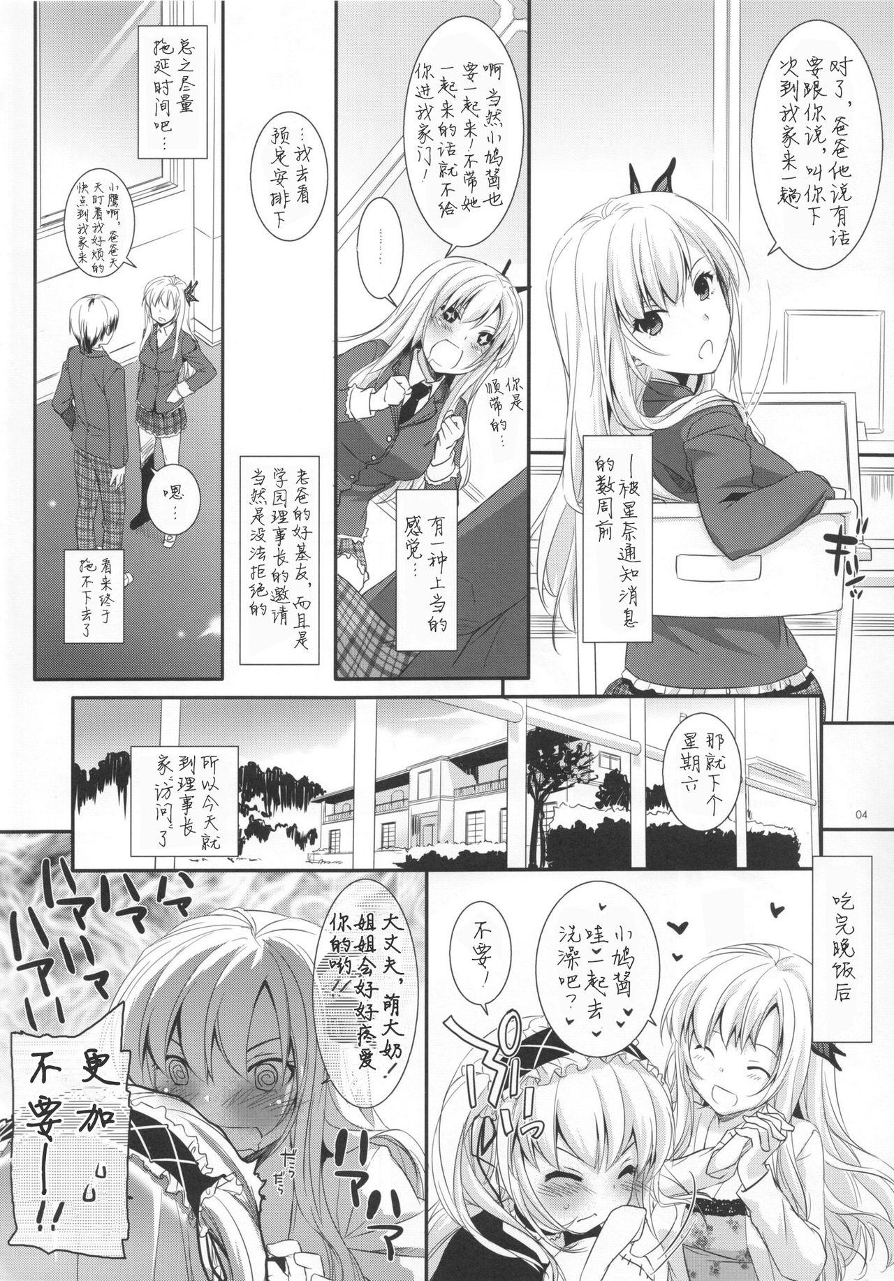 D.L. action 62(C80) (同人誌) [Digital Lover]  (僕は友達が少ない) [中国翻訳](35页)