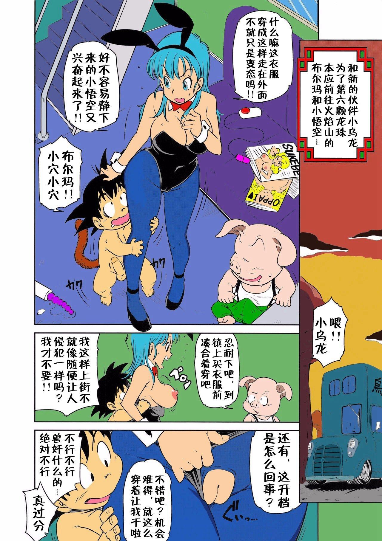 エロマンガール(C89) [Finecraft69 (6ro-)]  (ドラゴンボール) [中国翻訳] [カラー化] [無修正](25页)