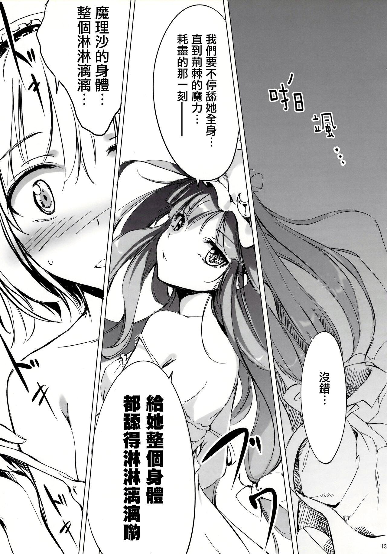 SLEEPING MAGE ‐魔法の森の眠り姫‐ 劇毒少女 Publication Number VII(C81) [劇毒少女 (ke-ta、日向、冬馬雪崩)](東方Project)[中国翻訳]SLEEPING MAGEGekidoku Shoujo Publication Number VII(27页)