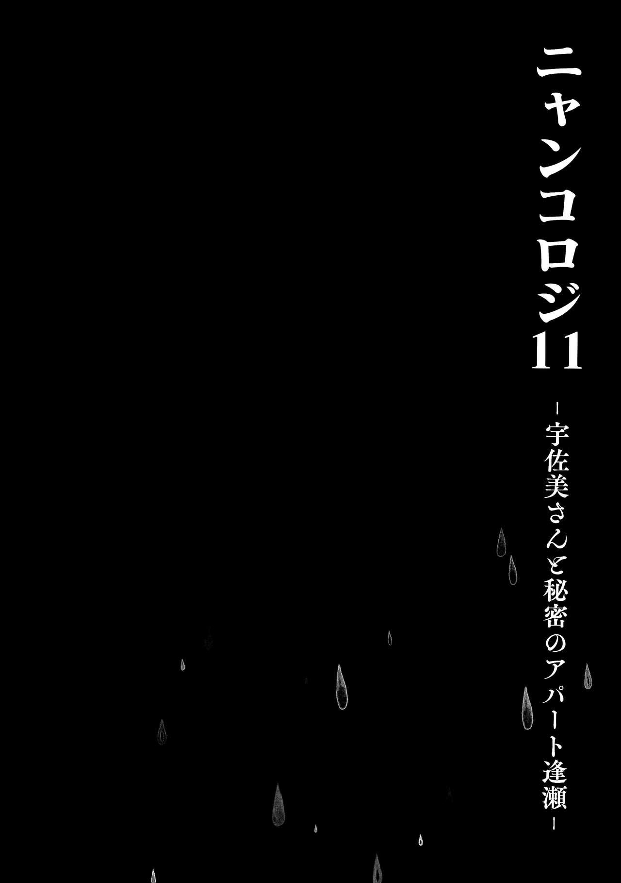 ニャンコロジ11(メガ秋葉原同人祭 第1回) [きのこのみ (konomi)]-宇佐美さんと秘密のアパート逢瀬- [中国翻訳]Nyancology11san to Himitsu no Apart Ouse-(45页)