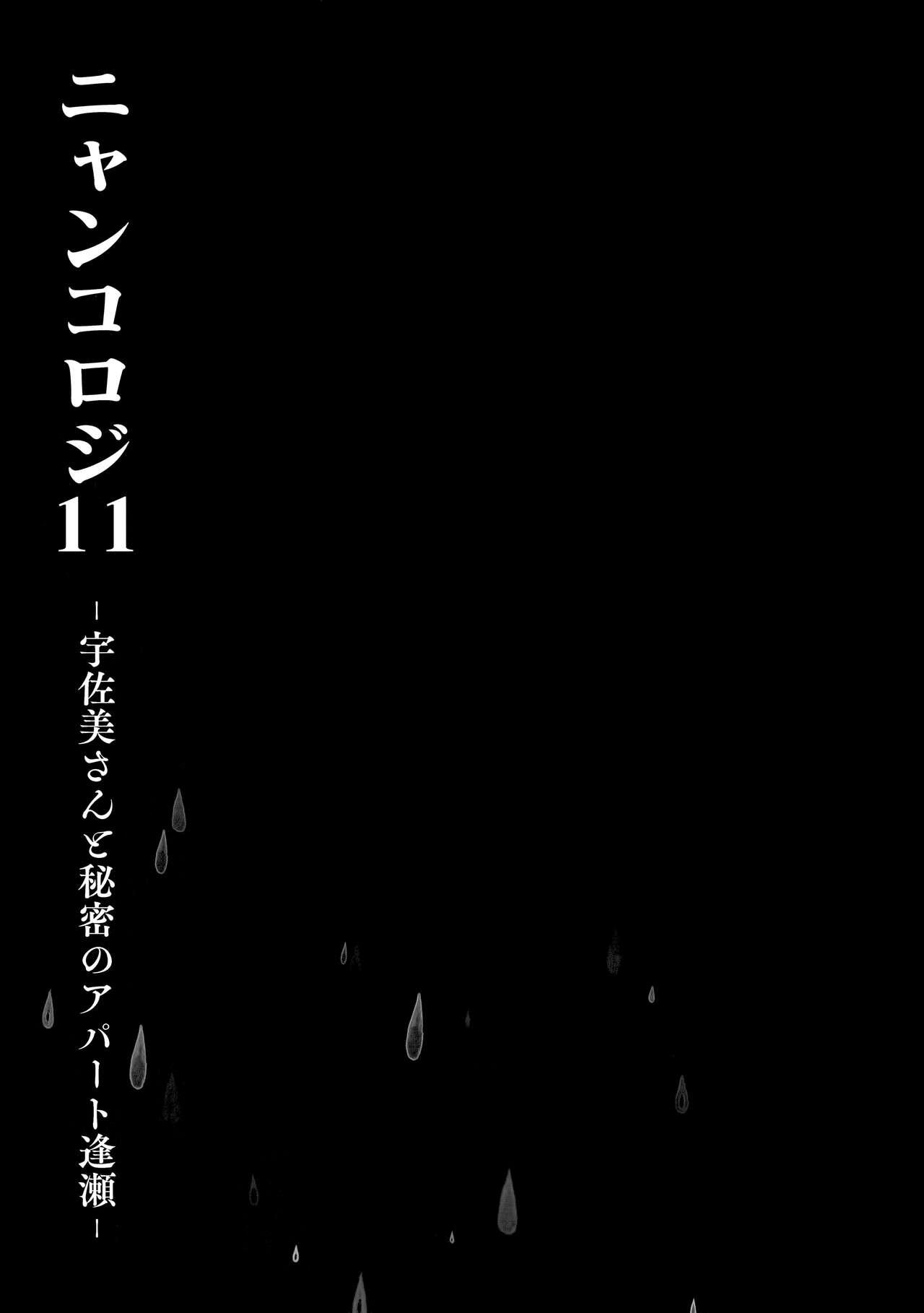 ニャンコロジ11(メガ秋葉原同人祭 第1回) [きのこのみ (konomi)]-宇佐美さんと秘密のアパート逢瀬- [中国翻訳]Nyancology11san to Himitsu no Apart Ouse-(45页)